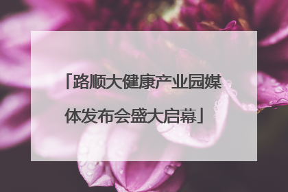 路顺大健康产业园媒体发布会盛大启幕