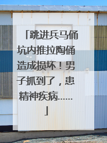 跳进兵马俑坑内推拉陶俑造成损坏！男子抓到了，患精神疾病……