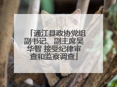 通江县政协党组副书记、副主席吴华智 接受纪律审查和监察调查