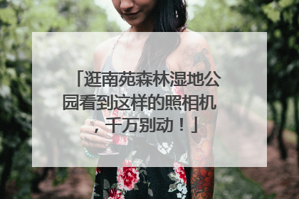 逛南苑森林湿地公园看到这样的照相机，千万别动！