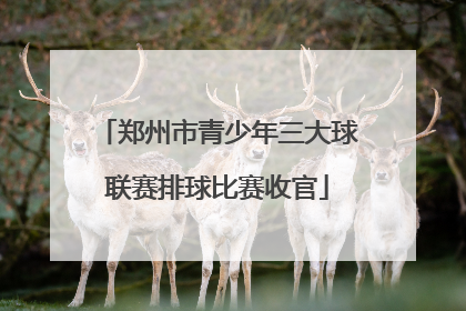 郑州市青少年三大球联赛排球比赛收官