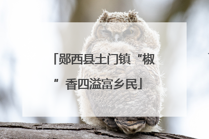 郧西县土门镇“椒”香四溢富乡民