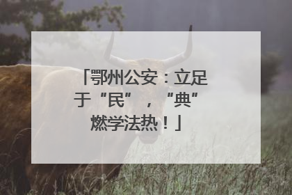 鄂州公安：立足于“民”，“典”燃学法热！