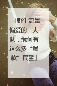 野生流量偏爱的一大队，缘何有这么多“爆款”民警