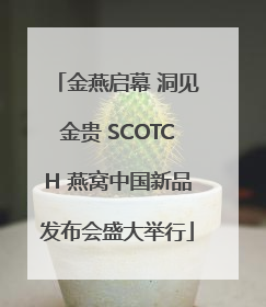 金燕启幕 洞见金贵 SCOTCH 燕窝中国新品发布会盛大举行