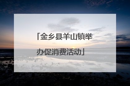 金乡县羊山镇举办促消费活动
