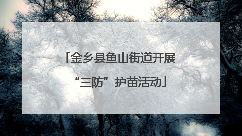 金乡县鱼山街道开展“三防”护苗活动