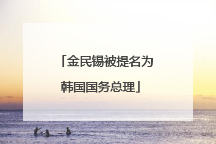 金民锡被提名为韩国国务总理