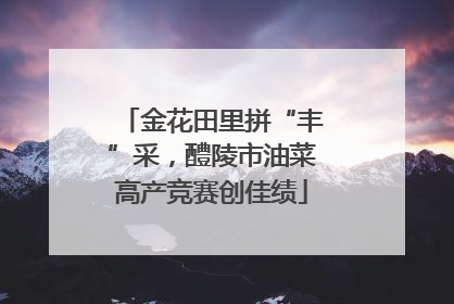 金花田里拼“丰”采，醴陵市油菜高产竞赛创佳绩