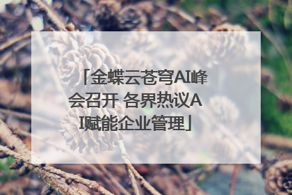 金蝶云苍穹AI峰会召开 各界热议AI赋能企业管理