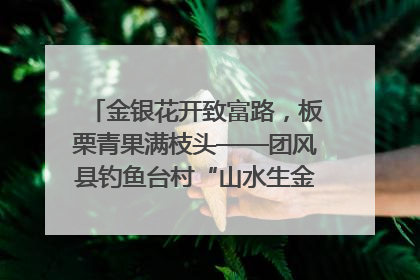 金银花开致富路，板栗青果满枝头——团风县钓鱼台村“山水生金”谱写共富新篇章