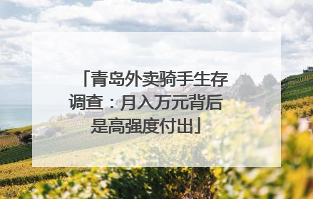 青岛外卖骑手生存调查：月入万元背后是高强度付出