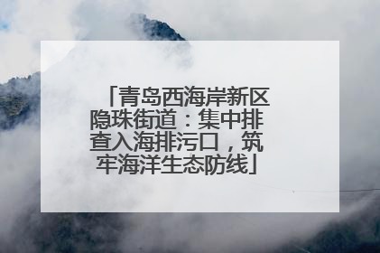 青岛西海岸新区隐珠街道：集中排查入海排污口，筑牢海洋生态防线
