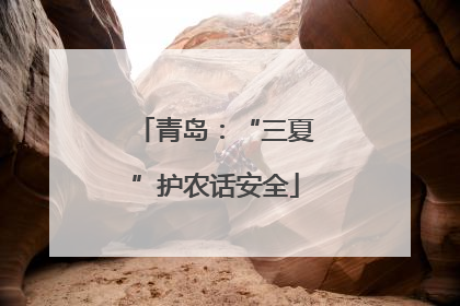 青岛：“三夏”护农话安全