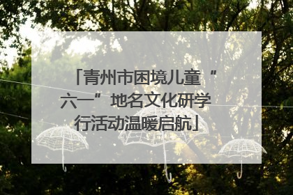 青州市困境儿童“六一”地名文化研学行活动温暖启航