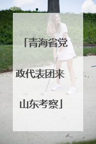 青海省党政代表团来山东考察