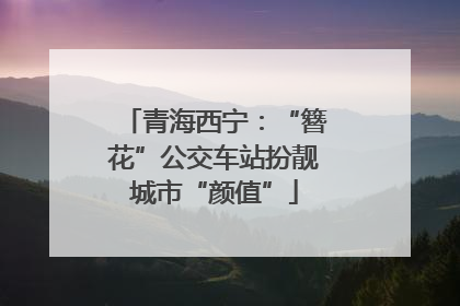 青海西宁：“簪花”公交车站扮靓城市“颜值”