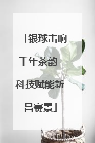 银球击响千年茶韵 科技赋能新昌赛景