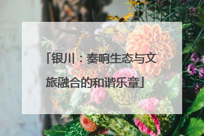 银川：奏响生态与文旅融合的和谐乐章