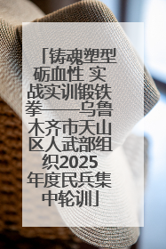 铸魂塑型砺血性 实战实训锻铁拳——乌鲁木齐市天山区人武部组织2025年度民兵集中轮训