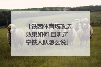铁西体育场改造效果如何 且听辽宁铁人队怎么说