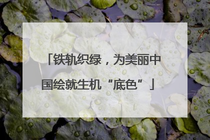 铁轨织绿，为美丽中国绘就生机“底色”