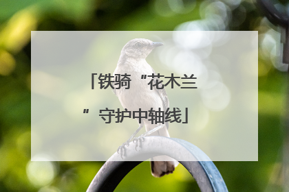 铁骑“花木兰”守护中轴线
