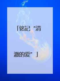 铭记“清澈的爱”