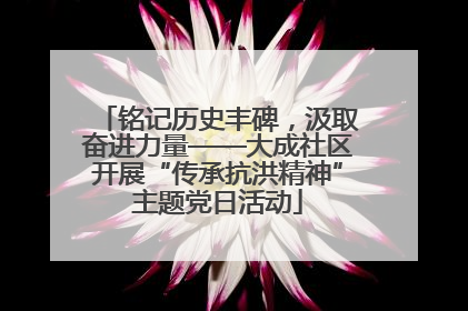 铭记历史丰碑，汲取奋进力量——大成社区开展“传承抗洪精神”主题党日活动