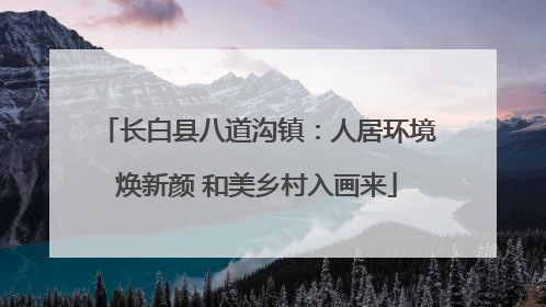 长白县八道沟镇：人居环境焕新颜 和美乡村入画来