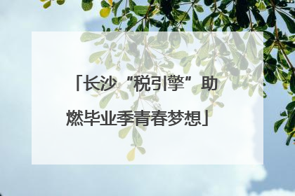 长沙“税引擎”助燃毕业季青春梦想
