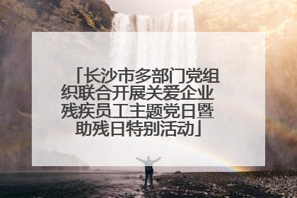 长沙市多部门党组织联合开展关爱企业残疾员工主题党日暨助残日特别活动