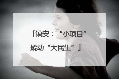 镇安：“小项目”撬动“大民生”