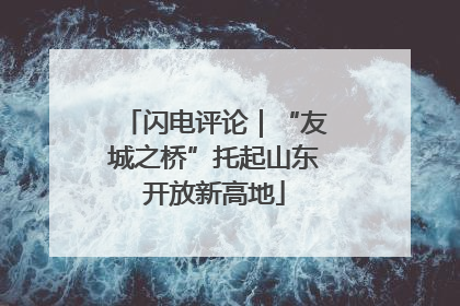 闪电评论｜“友城之桥”托起山东开放新高地