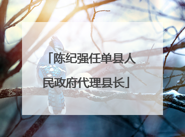 陈纪强任单县人民政府代理县长