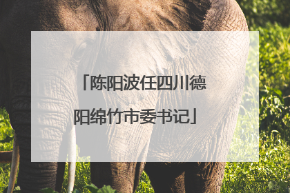 陈阳波任四川德阳绵竹市委书记