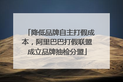 降低品牌自主打假成本，阿里巴巴打假联盟成立品牌抽检分盟