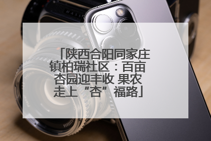 陕西合阳同家庄镇柏瑞社区：百亩杏园迎丰收 果农走上“杏”福路