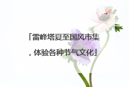 雷峰塔夏至国风市集，体验各种节气文化