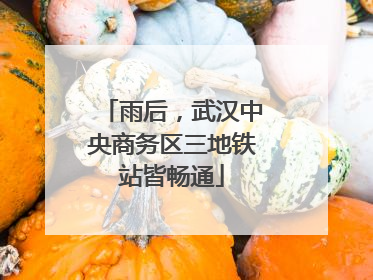 雨后，武汉中央商务区三地铁站皆畅通