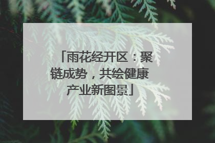 雨花经开区：聚链成势，共绘健康产业新图景