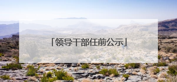 领导干部任前公示