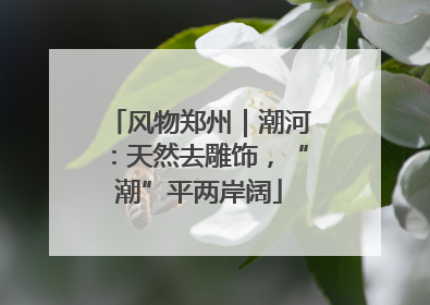 风物郑州｜潮河：天然去雕饰，“潮”平两岸阔
