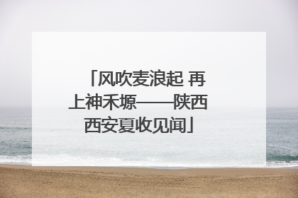 风吹麦浪起 再上神禾塬——陕西西安夏收见闻