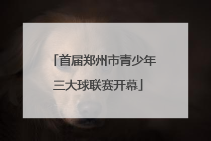 首届郑州市青少年三大球联赛开幕