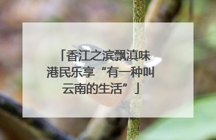 香江之滨飘滇味 港民乐享“有一种叫云南的生活”