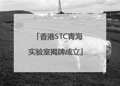 香港STC青海实验室揭牌成立