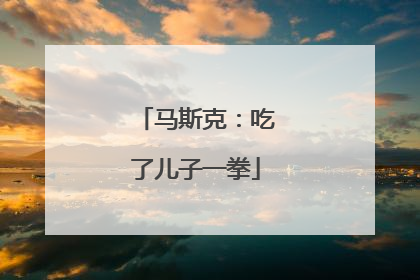 马斯克：吃了儿子一拳