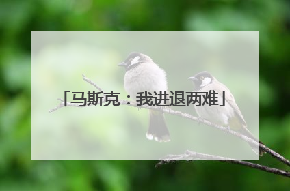 马斯克：我进退两难