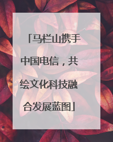 马栏山携手中国电信，共绘文化科技融合发展蓝图
